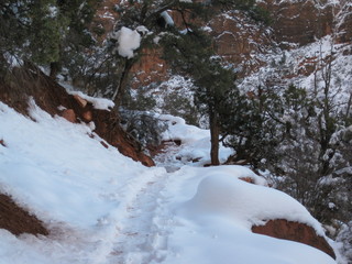 46 6qh. beth's Sunday zion-trip pictures - Zion National Park - Emerald Ponds hike