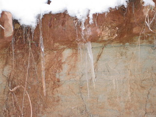 49 6qh. beth's Sunday zion-trip pictures - Zion National Park - Emerald Ponds hike - artsy sepia photo
