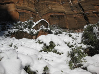 64 6qh. beth's Sunday zion-trip pictures - Zion National Park - Emerald Ponds hike