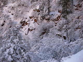68 6qh. beth's Sunday zion-trip pictures - Zion National Park - Emerald Ponds hike