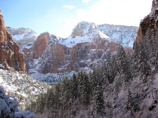 70 6qh. beth's Sunday zion-trip pictures - Zion National Park - Emerald Ponds hike