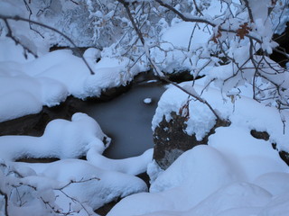 73 6qh. beth's Sunday zion-trip pictures - Zion National Park - Emerald Ponds hike