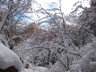 91 6qh. beth's Sunday zion-trip pictures - Zion National Park - Emerald Ponds hike