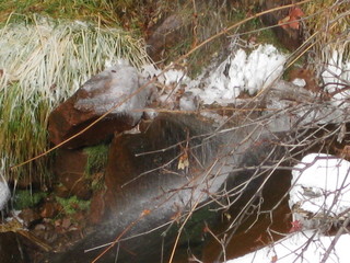 101 6qh. beth's Sunday zion-trip pictures - Zion National Park - Emerald Ponds hike