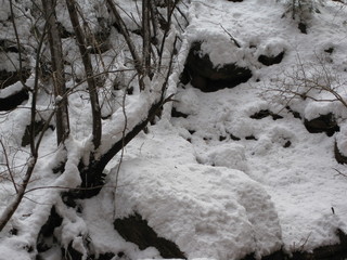 110 6qh. beth's Sunday zion-trip pictures - Zion National Park - Emerald Ponds hike