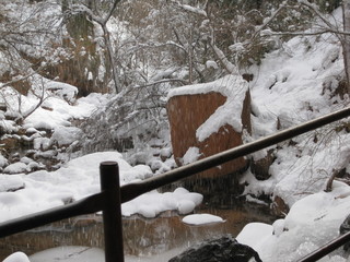 115 6qh. beth's Sunday zion-trip pictures - Zion National Park - Emerald Ponds hike