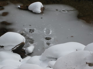 119 6qh. beth's Sunday zion-trip pictures - Zion National Park - Emerald Ponds hike