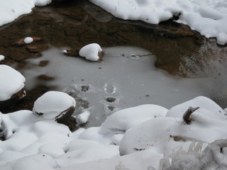 120 6qh. beth's Sunday zion-trip pictures - Zion National Park - Emerald Ponds hike