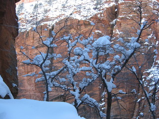 4 6qk. debbie's Zion-trip pictures