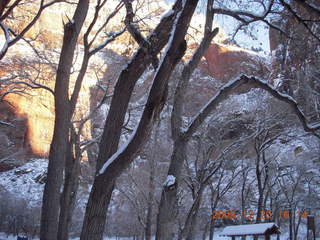 122 6ql. Zion National Park