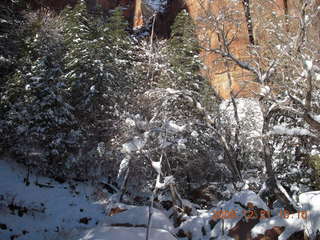 83 6qm. Zion National Park - Emerald Pools hike