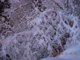 94 6qm. Zion National Park - Emerald Pools hike