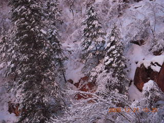 95 6qm. Zion National Park - Emerald Pools hike