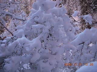 96 6qm. Zion National Park - Emerald Pools hike