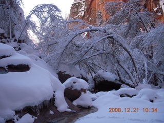 121 6qm. Zion National Park - Emerald Pools hike
