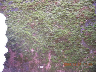 132 6qm. Zion National Park - Emerald Pools hike - moss