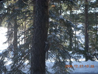 debbie's Zion-trip pictures