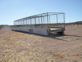 leaves near Moab bridge across the Colorado River