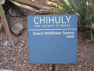 beth's Dale Chihuly pictures -