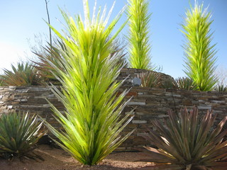 beth's Dale Chihuly pictures -