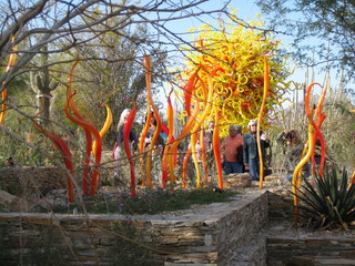 beth's Dale Chihuly pictures -