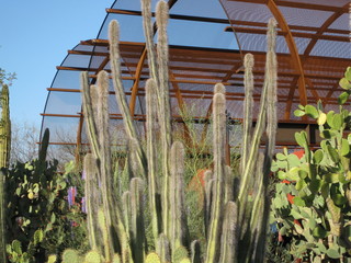 beth's Dale Chihuly pictures - Michael and Dita and a map