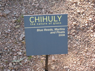 beth's Dale Chihuly pictures -