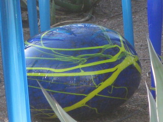 beth's Dale Chihuly pictures -