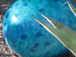 beth's Dale Chihuly pictures -