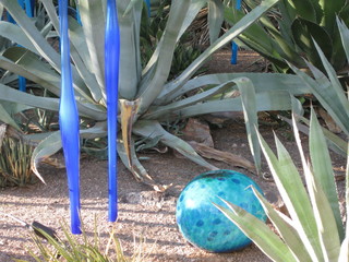 beth's Dale Chihuly pictures -