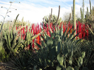 beth's Dale Chihuly pictures -