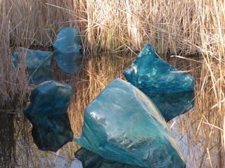 beth's Dale Chihuly pictures -