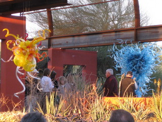 beth's Dale Chihuly pictures -