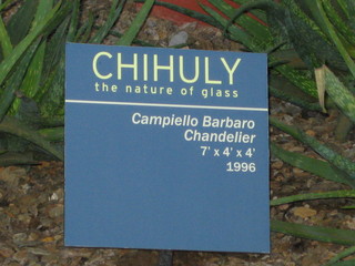 beth's Dale Chihuly pictures -