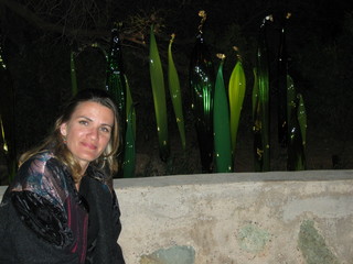 beth's Dale Chihuly pictures -