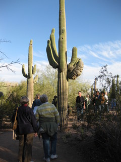 beth's Dale Chihuly pictures -