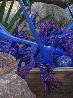 beth's Dale Chihuly pictures -
