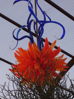 beth's Dale Chihuly pictures -