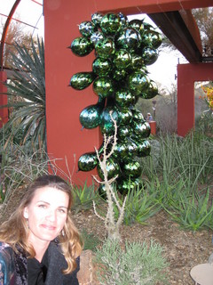 beth's Dale Chihuly pictures -