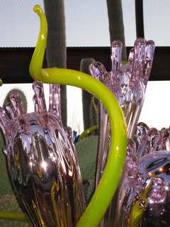 beth's Dale Chihuly pictures -
