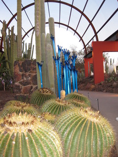 beth's Dale Chihuly pictures - Beth