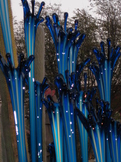 beth's Dale Chihuly pictures -