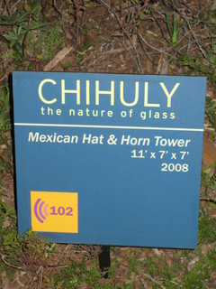 beth's Dale Chihuly pictures - Dita