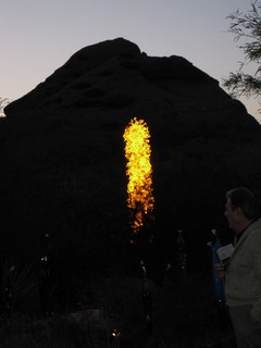 beth's Dale Chihuly pictures -