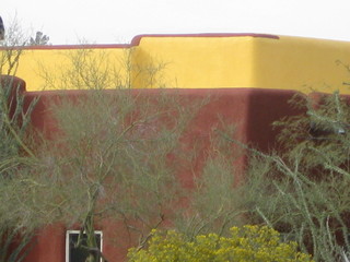 beth's Dale Chihuly pictures -