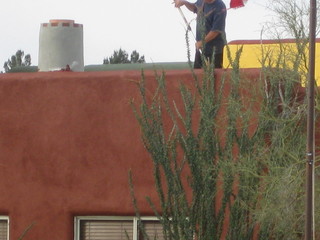 beth's Dale Chihuly pictures -