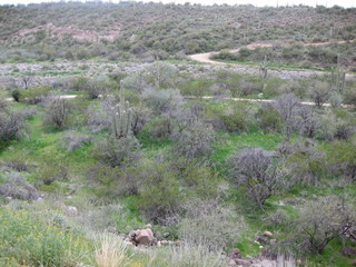 beth's pictures - Cave Creek mine hike