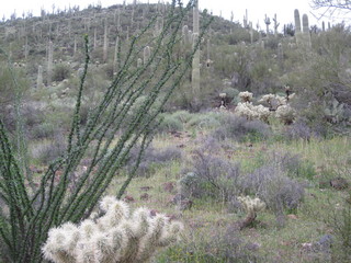 beth's pictures - Cave Creek mine hike