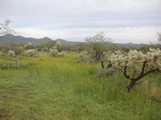 beth's pictures - Cave Creek mine hike