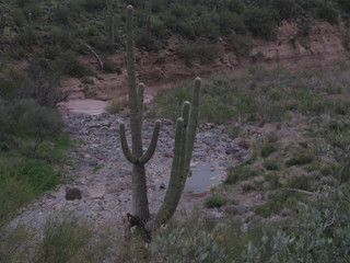 beth's pictures - Cave Creek mine hike - 'raging' river